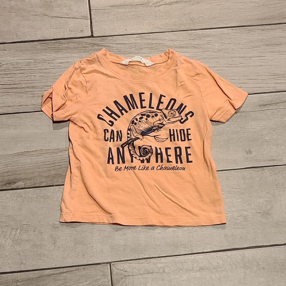 🍁H&M kids chameleon tee🍦